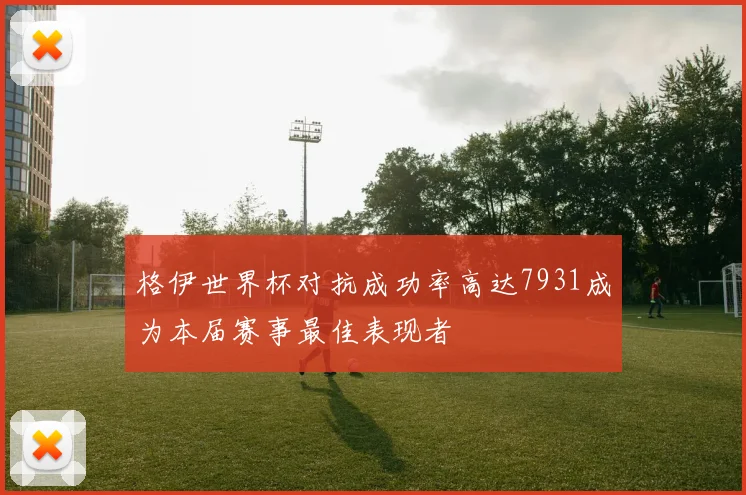 格伊世界杯对抗成功率高达7931成为本届赛事最佳表现者