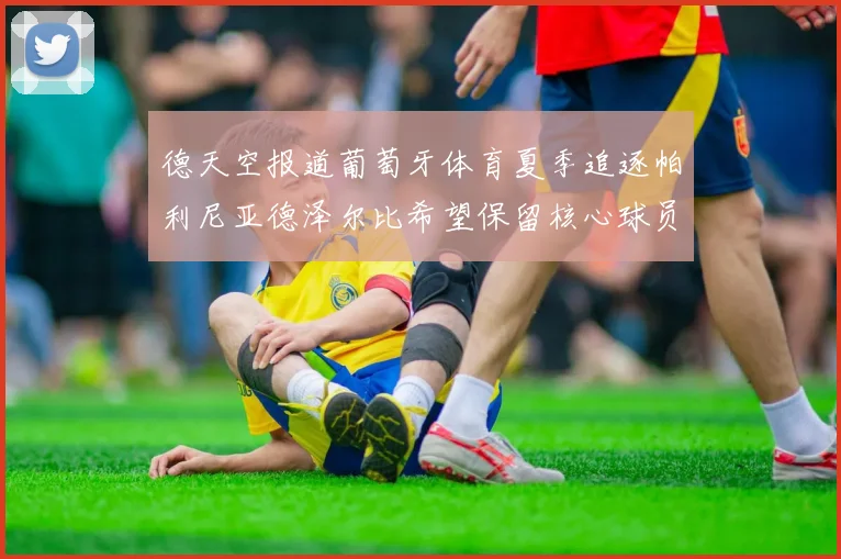 德天空报道葡萄牙体育夏季追逐帕利尼亚德泽尔比希望保留核心球员
